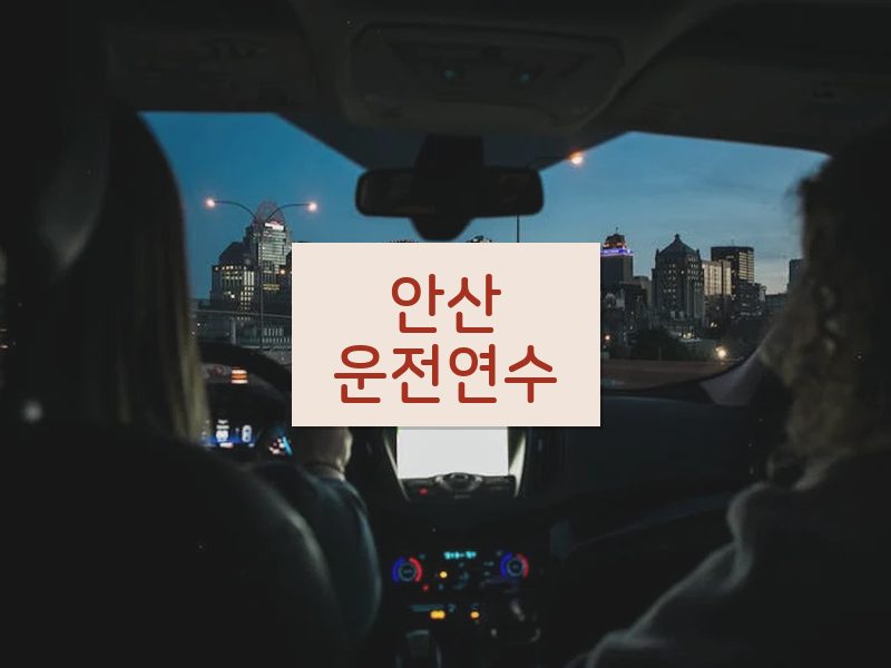 안산운전연수 후기