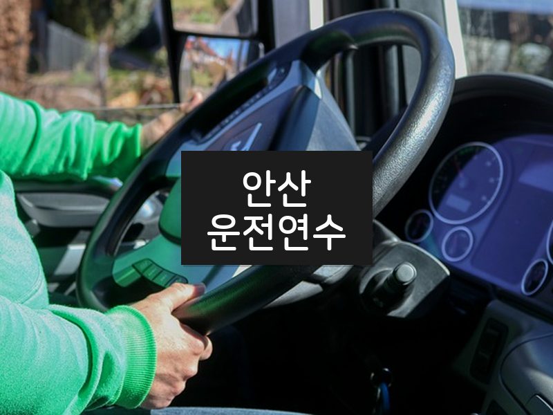 안산운전연수 후기