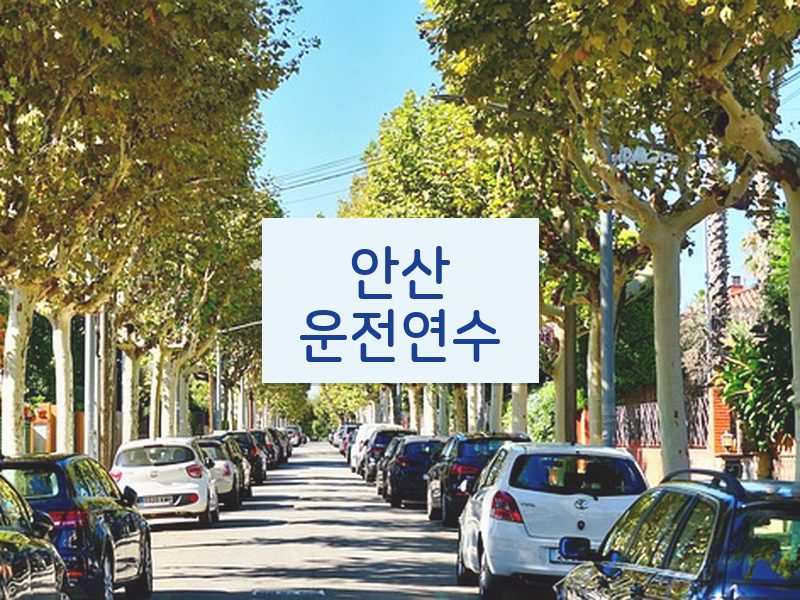 안산운전연수 후기