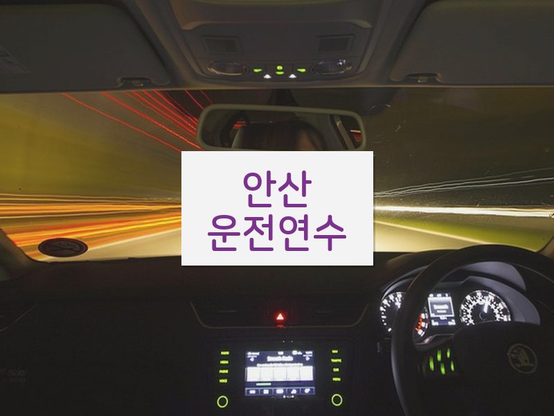 안산운전연수 후기