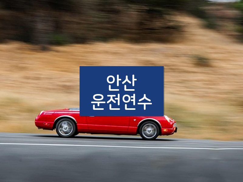 안산운전연수 후기