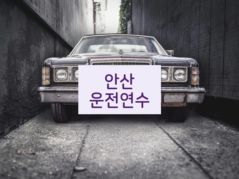 안산운전연수 후기
