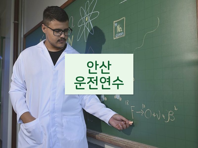 안산운전연수 후기