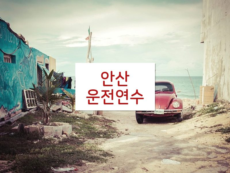 안산운전연수 후기