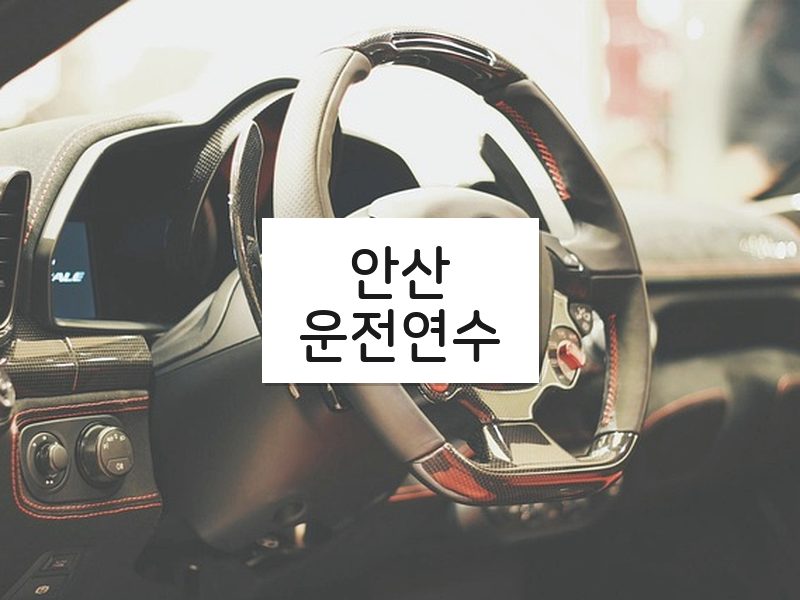 안산운전연수 후기