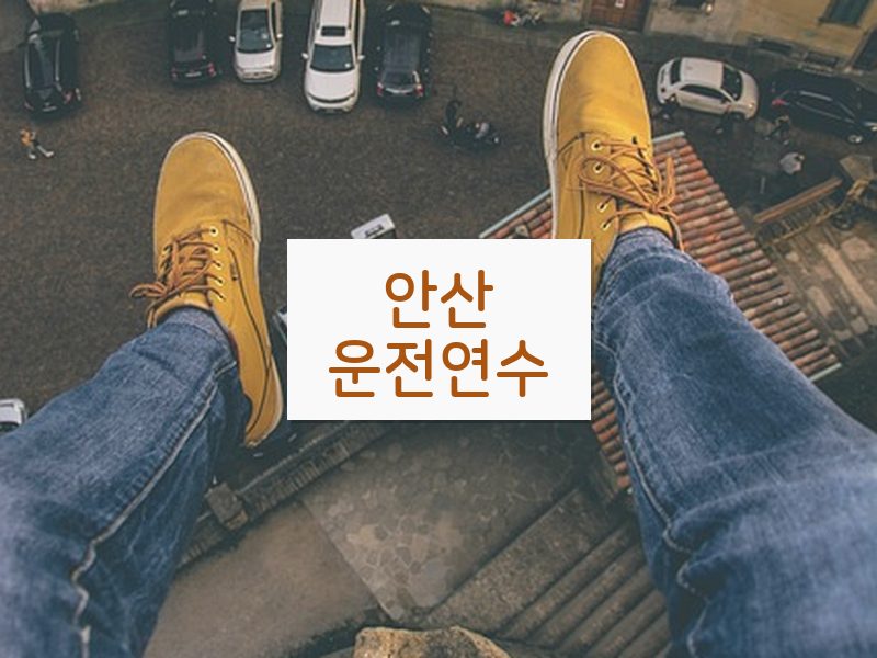 안산운전연수 후기