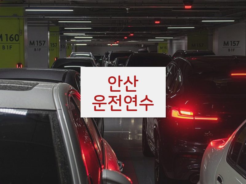 안산운전연수 후기