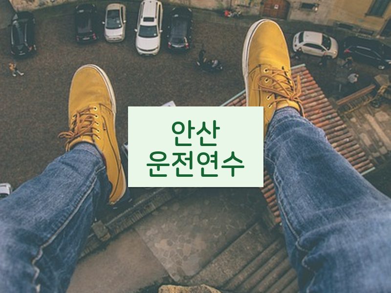 안산운전연수 후기