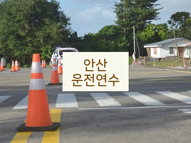 안산운전연수 후기