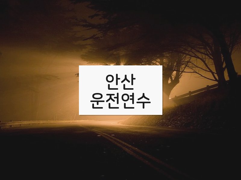 안산운전연수 후기