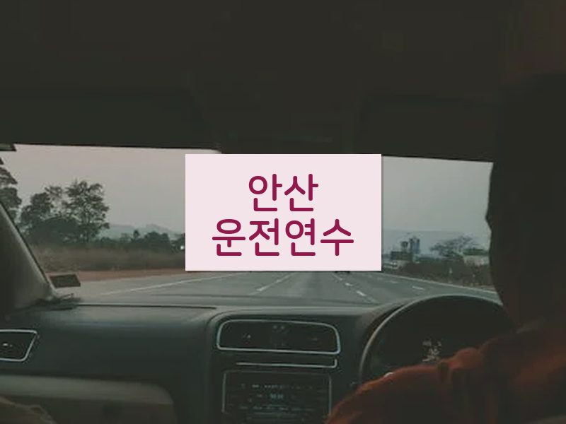 안산운전연수 후기