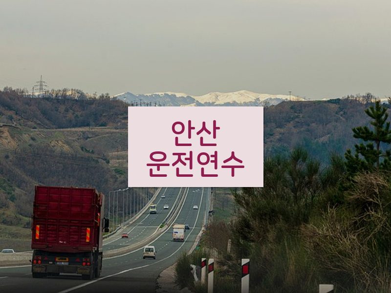 안산운전연수 후기
