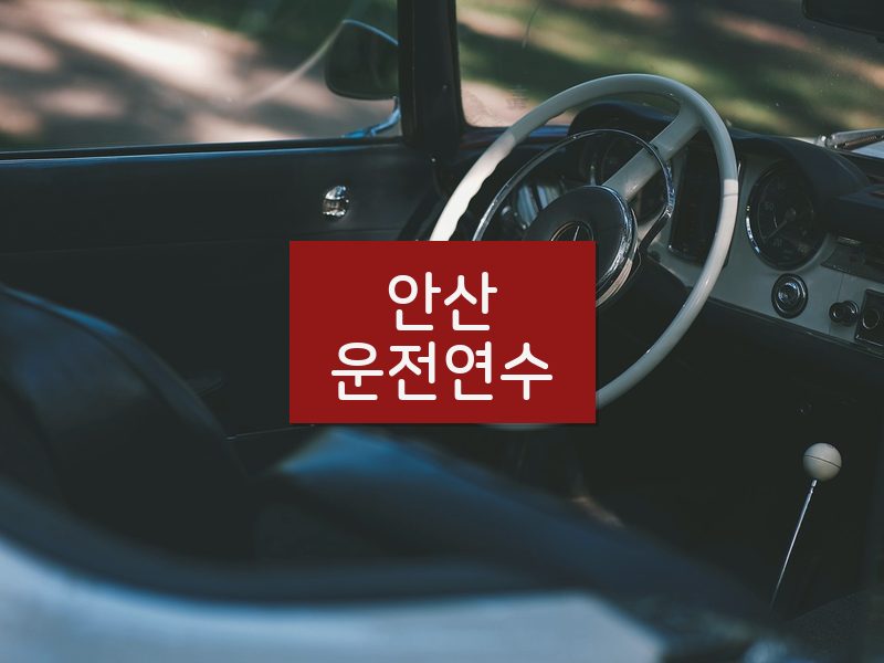 안산운전연수 후기