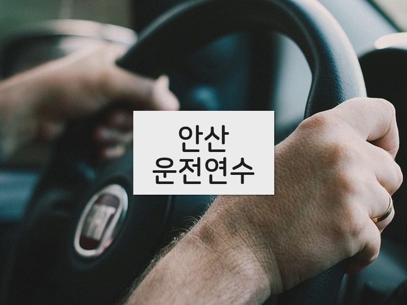 안산운전연수 후기