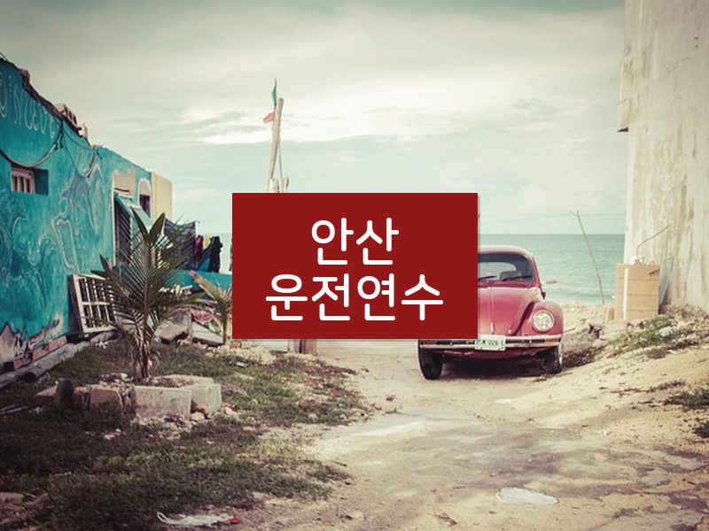 안산운전연수 후기