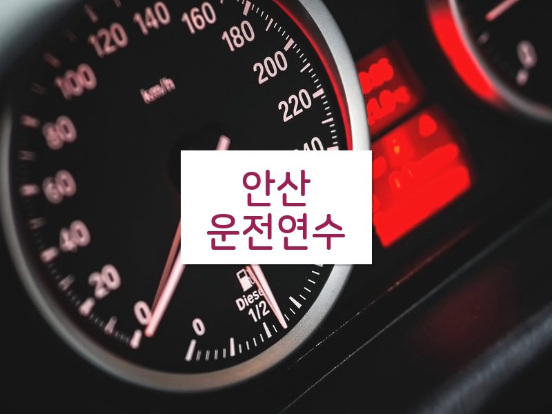 안산운전연수 후기