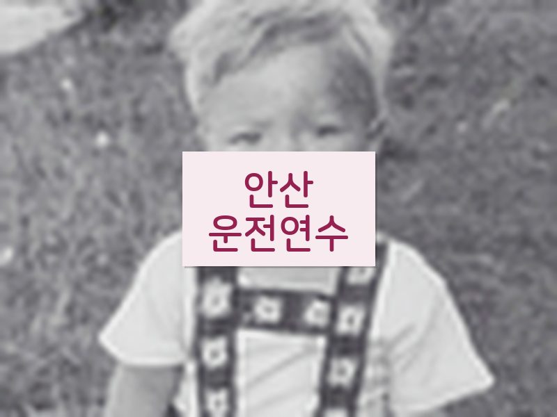 안산운전연수 후기