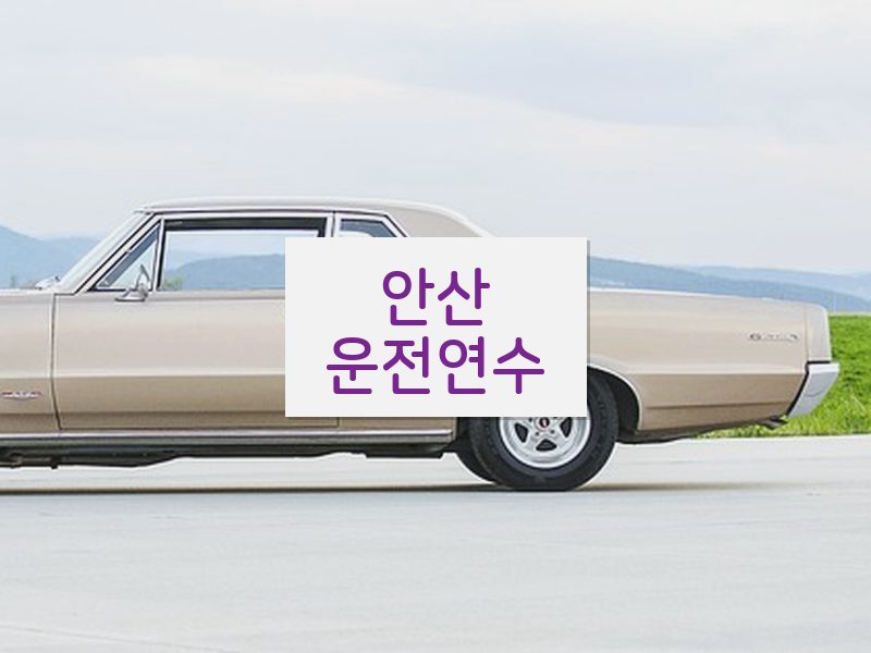 안산운전연수 후기