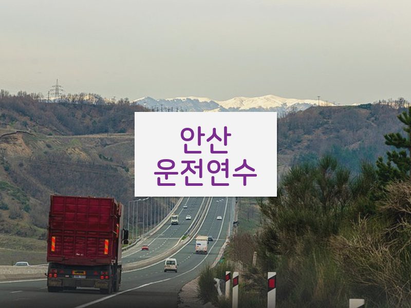안산운전연수 후기