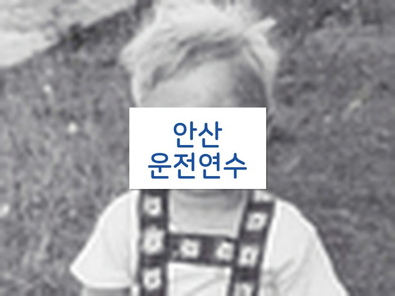 안산운전연수 후기