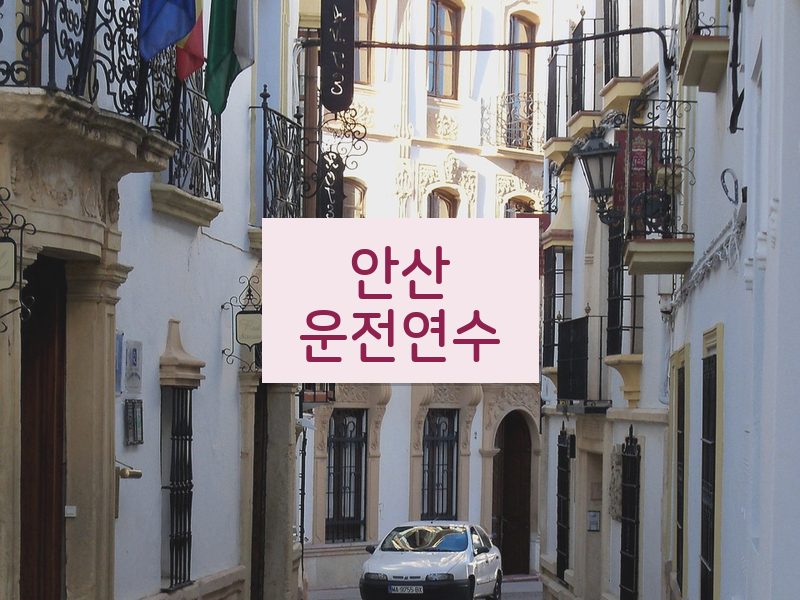 안산운전연수 후기
