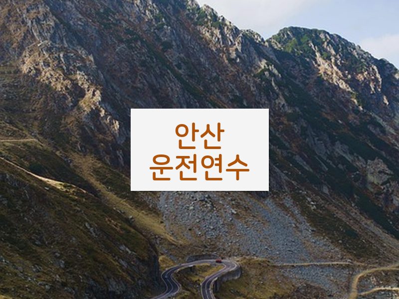 안산운전연수 후기