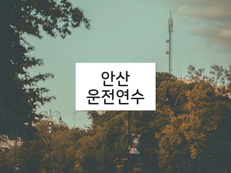 안산운전연수 후기