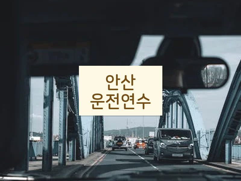 안산운전연수 후기