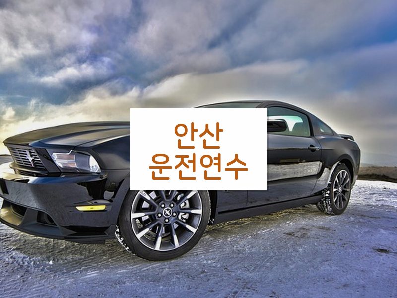 안산운전연수 후기