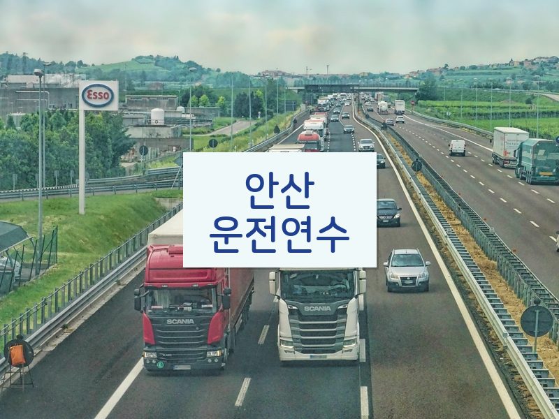 안산운전연수 후기