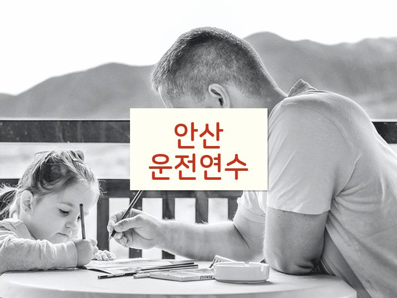 안산운전연수 후기