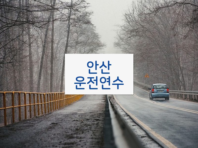 안산운전연수 후기