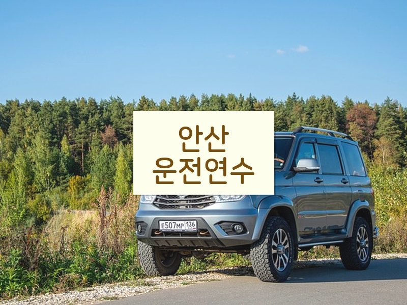 안산운전연수 후기