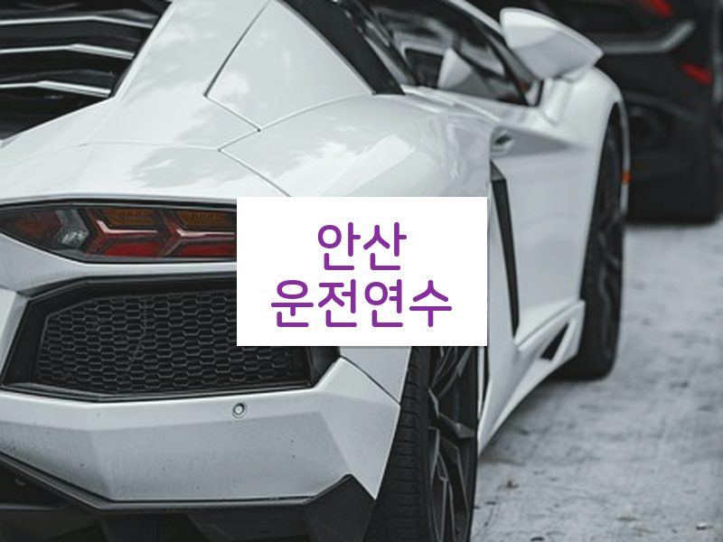 안산운전연수 후기