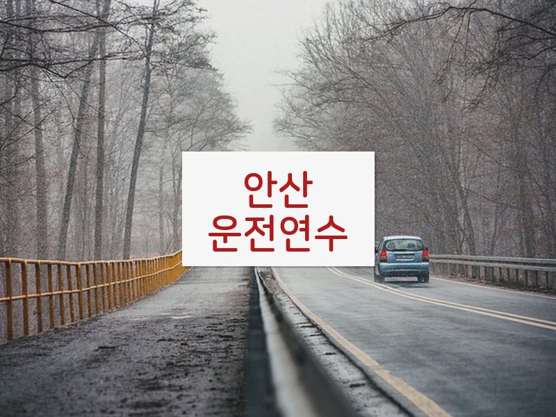 안산운전연수 후기