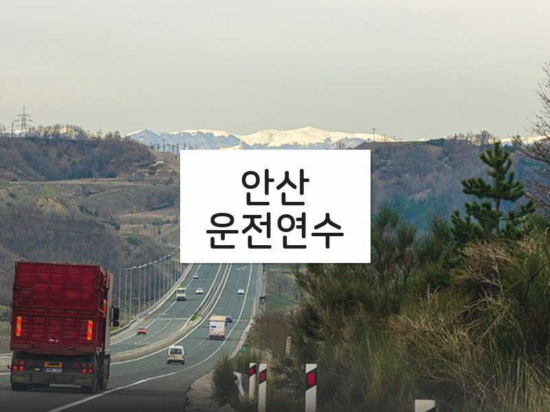 안산운전연수 후기
