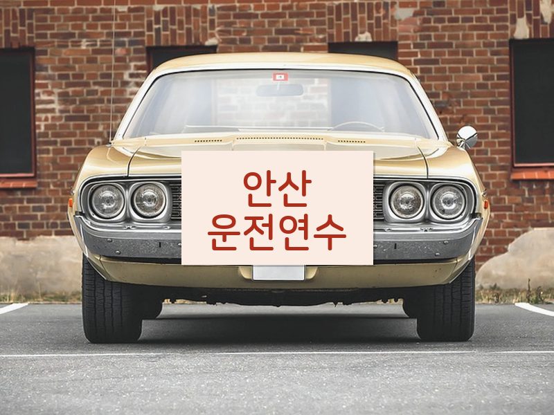 안산운전연수 후기