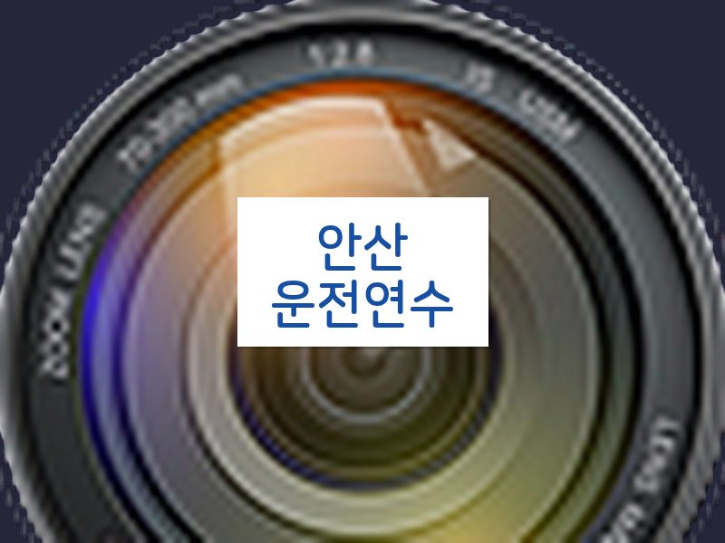 안산운전연수 후기