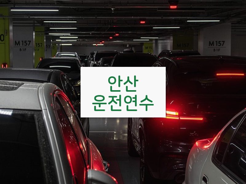 안산운전연수 후기