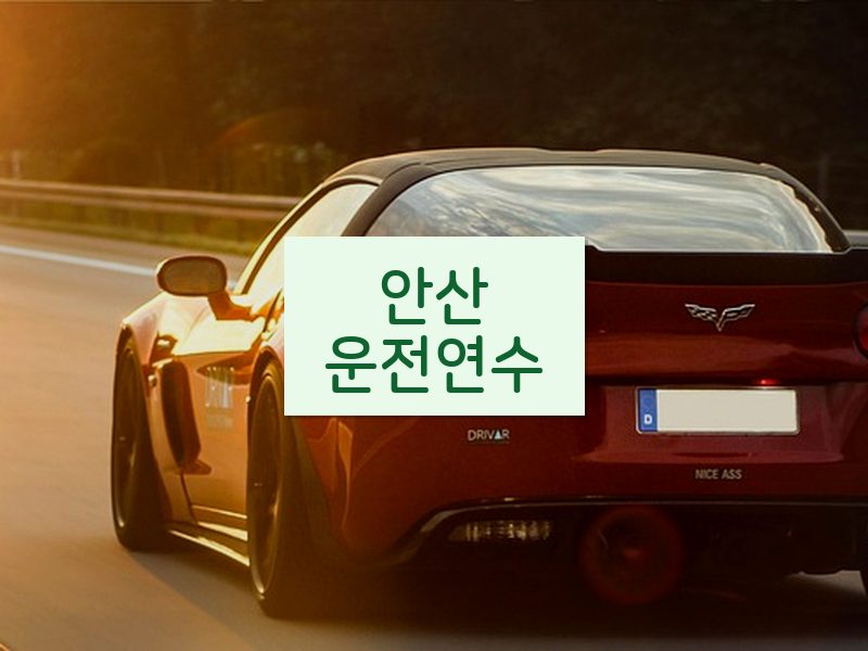 안산운전연수 후기