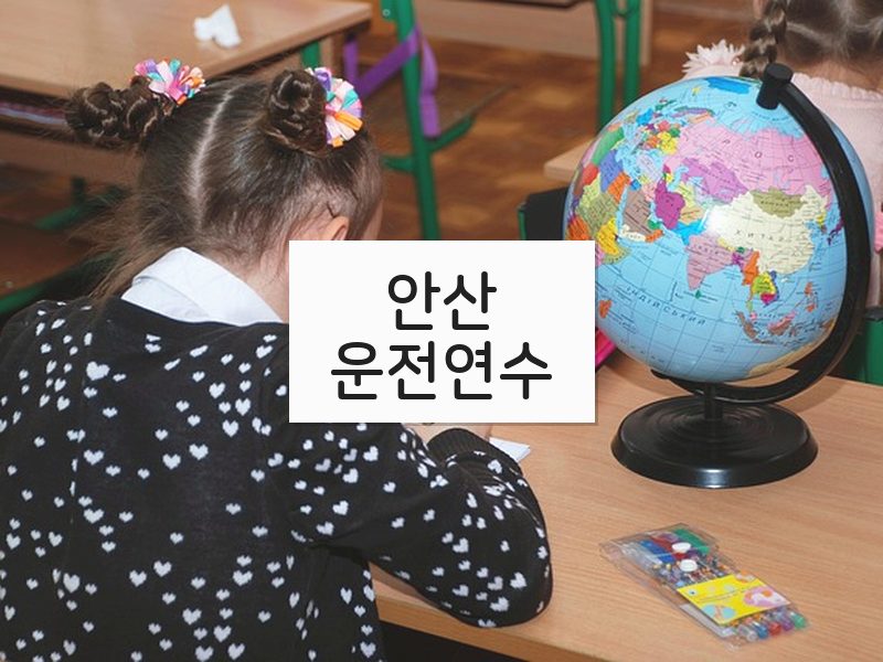 안산운전연수 후기
