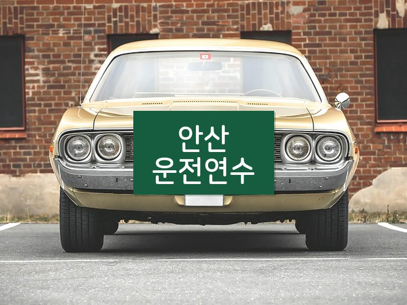 안산운전연수 후기