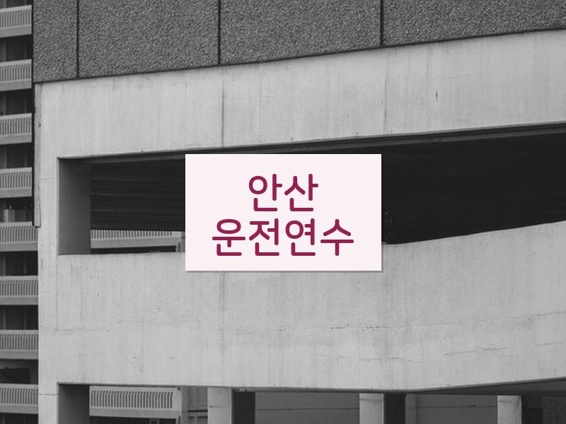 안산운전연수 후기