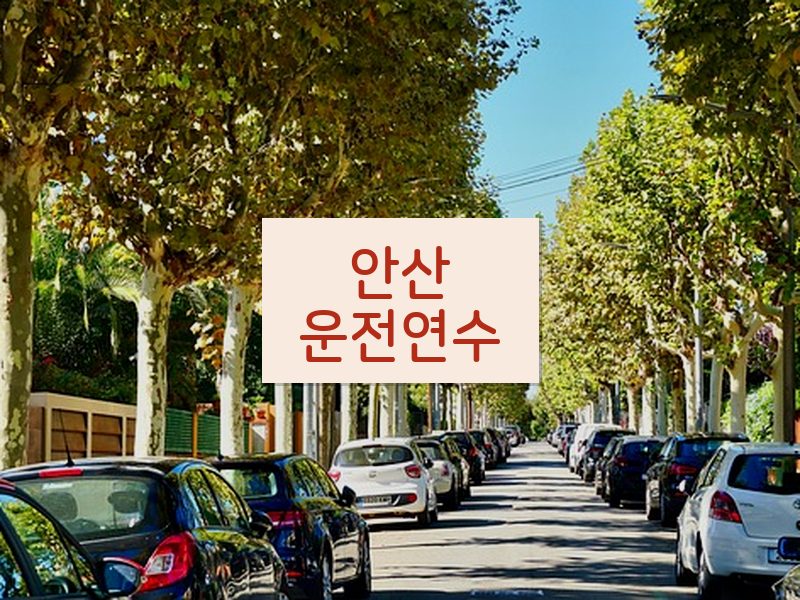 안산운전연수 후기