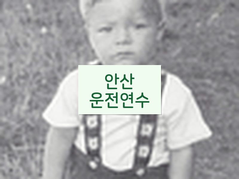 안산운전연수 후기