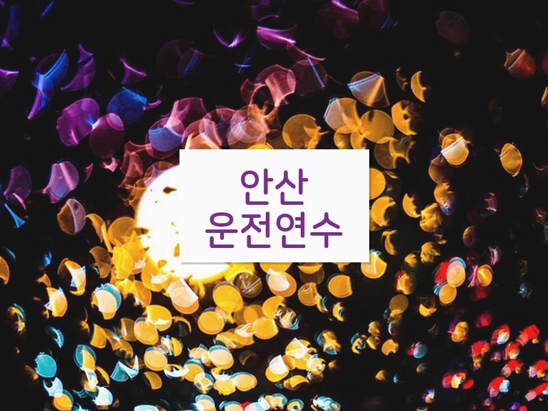 안산운전연수 후기