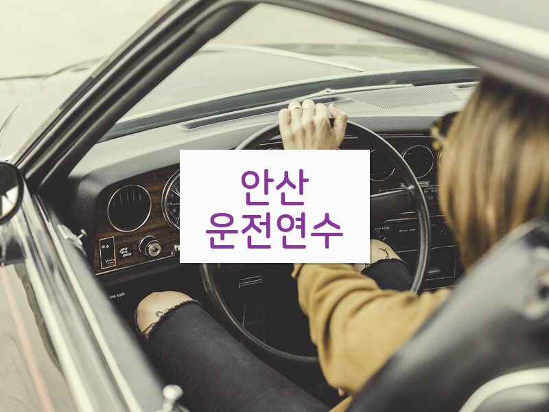 안산운전연수 후기