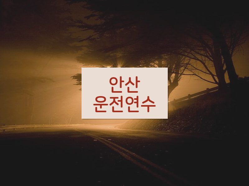 안산운전연수 후기