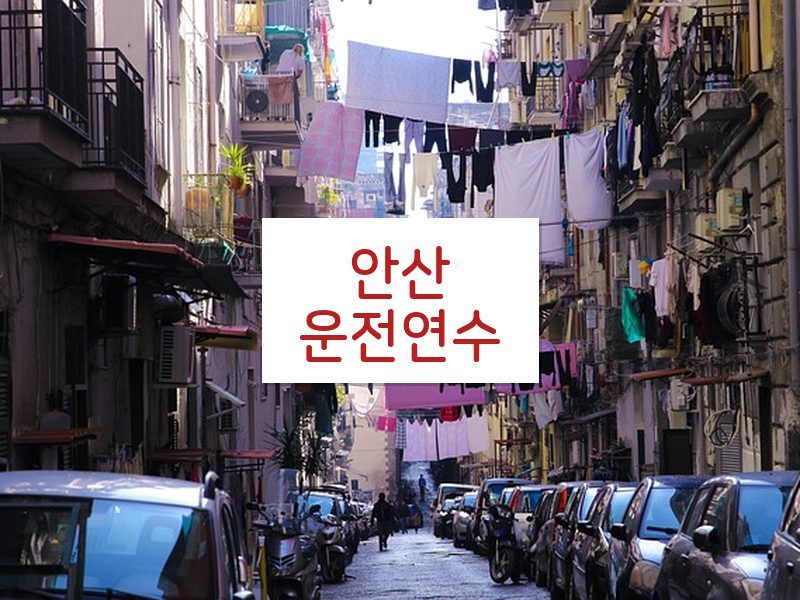 안산운전연수 후기