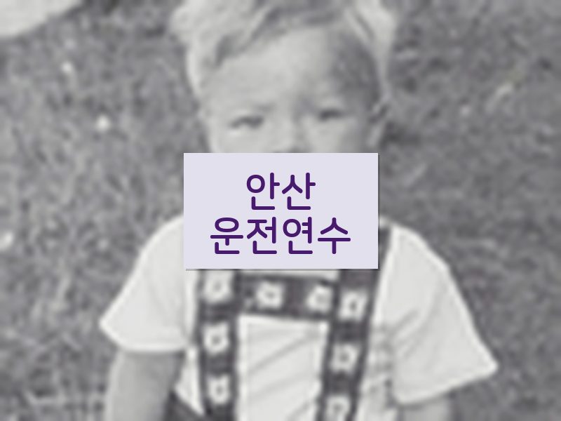 안산운전연수 후기